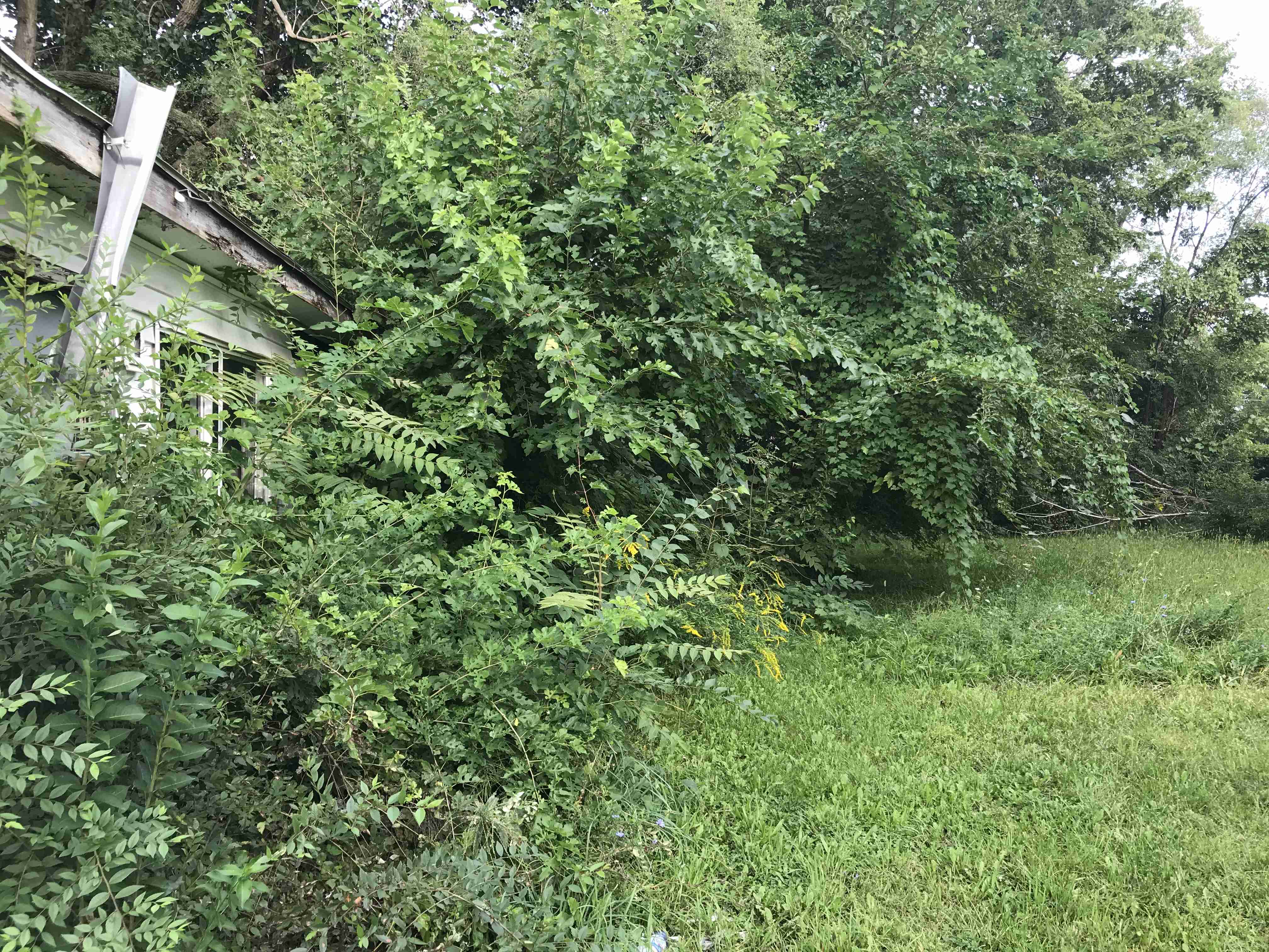 Photo Sep 09, 5 14 47 PM.jpg